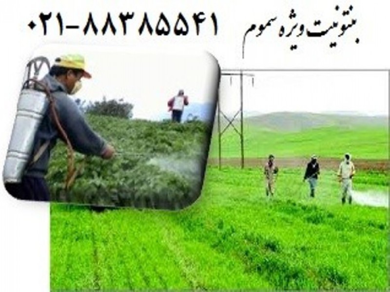 فروش بنتونیت ویژه سموم0