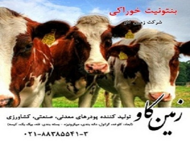 بنتونیت خوراک دام0