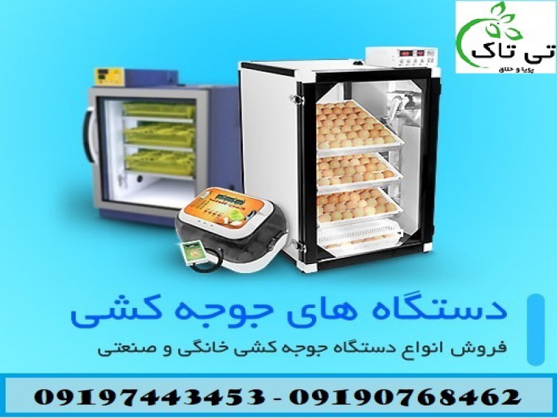 دستگاه جوجه کشی | خانگی و صنعتی  - 091909934660