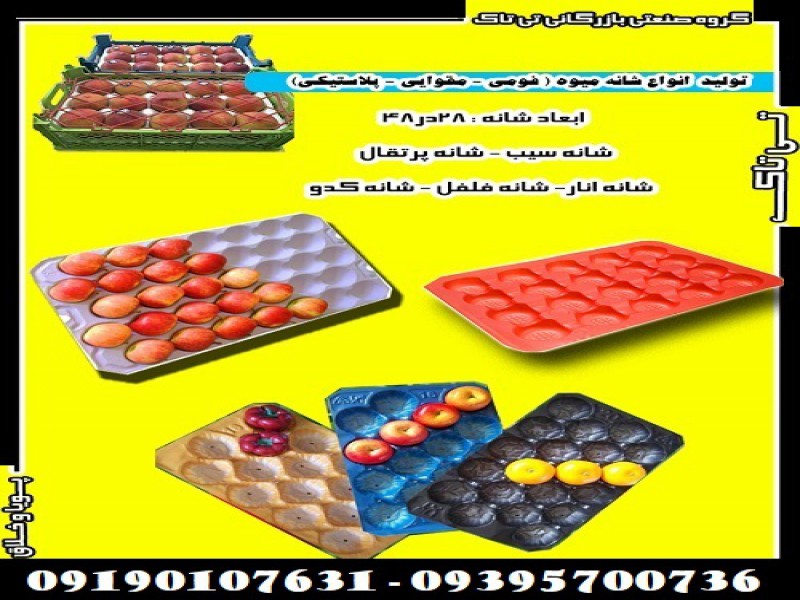 خرید و قیمت شانه مقوایی میوه - 091909934660