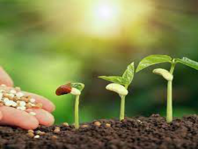 فروش کود کامل 16 عنصر0