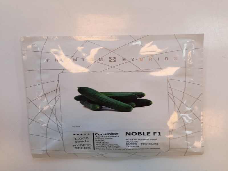 بذر خیار نوبل F10