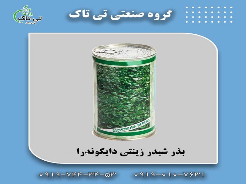 فروش بذر شبدر زینتی ، بذر چمن دایکوندرا 091997621630