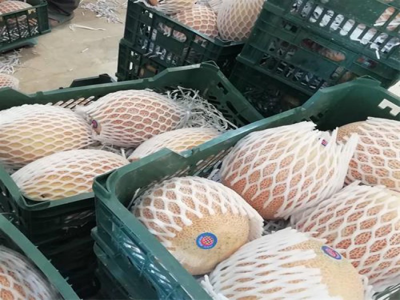 فوم توری میوه ، فوم توری شیشه 091997621630