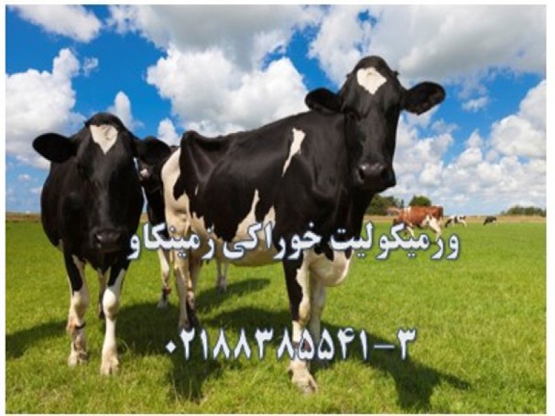 ورمیکولیت-خوراک دام0