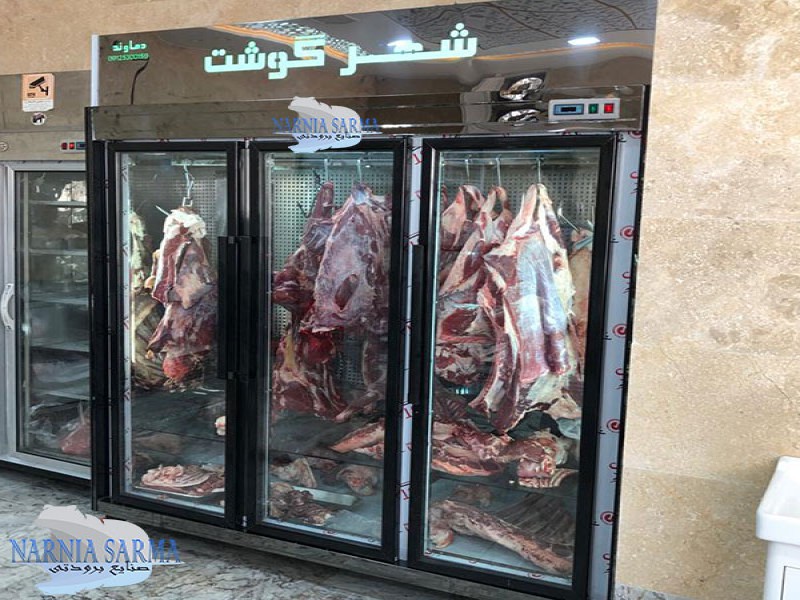 فروش ویژه یخچال قصابی0