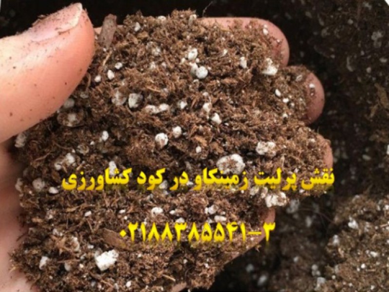 پرلیت-تولیدکود0