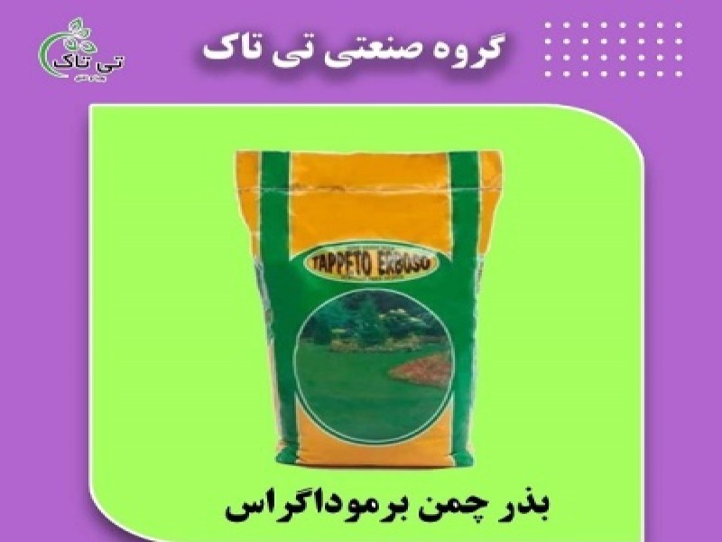بذر چمن برموداگراس  091974434530