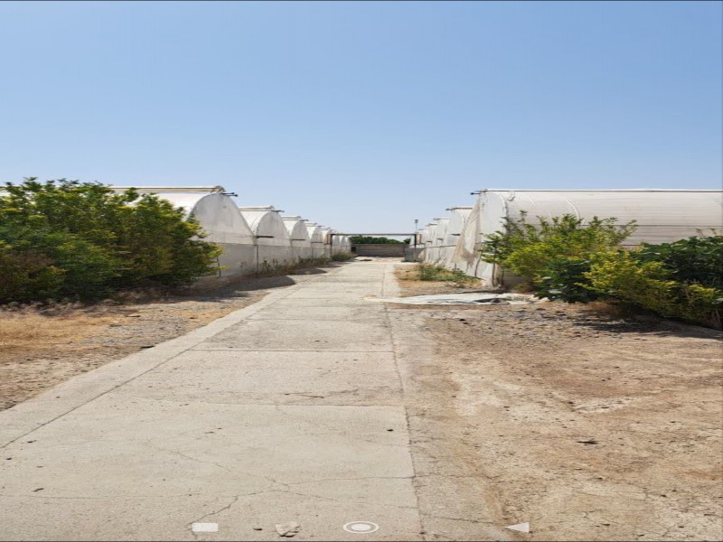 فروش گلخانه در فلاورجان اصفهان1