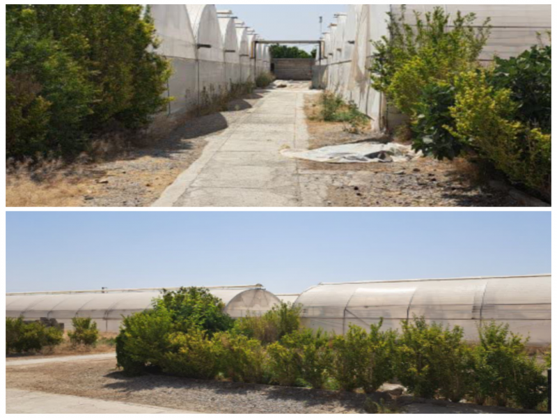 فروش گلخانه در فلاورجان اصفهان0