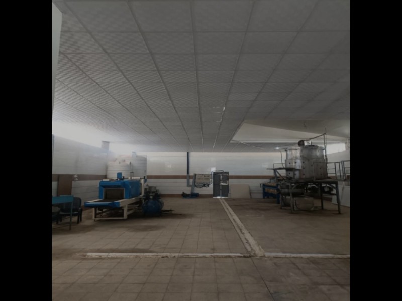 خط تولید شیره خرما1