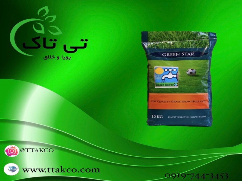 قیمت بذر چمن کیلویی زمین فوتبال و پارک 091909934660
