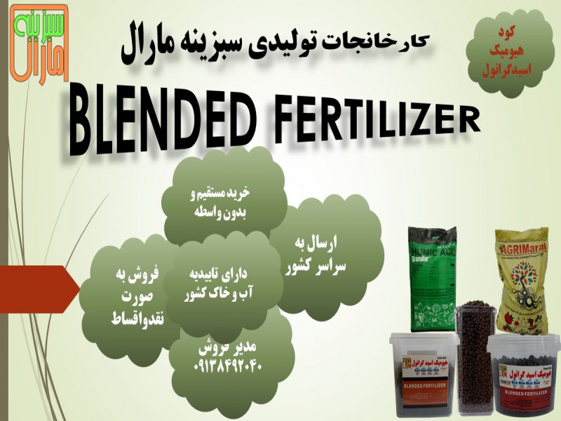 کود هیومیک اسید گرانول در سبزینه مارال0