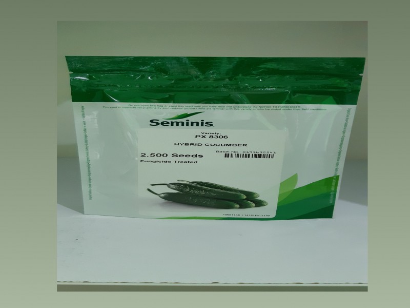 بذر خیار ۸۳۰۶0