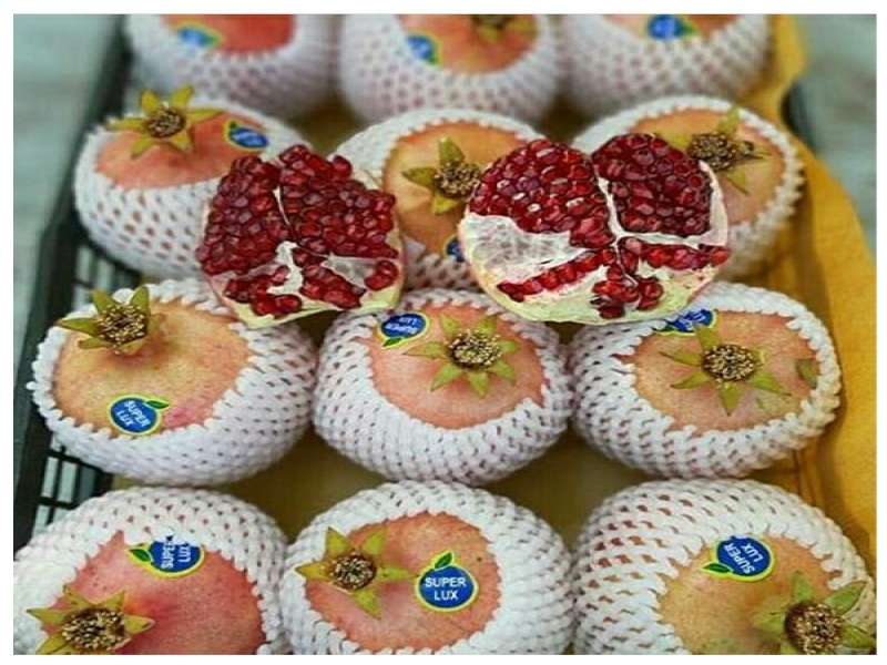 فوم میوه ، فوم توری ضربه گیر091974434530