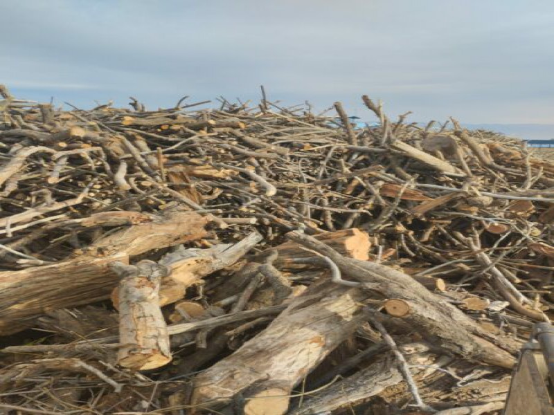 خرید انواع چوب باغات0