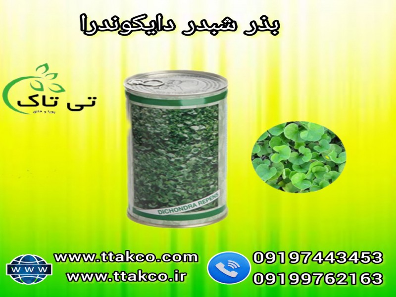 بذر شبدر | بذر انواع چمن 091974434530