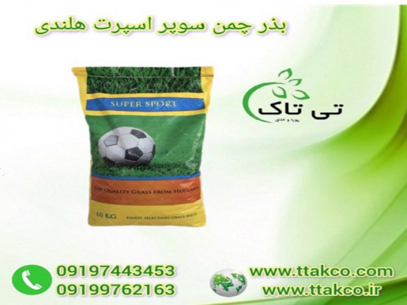 خرید و قیمت بذر چمن 6 تخم سوپر اسپرت هلندی0