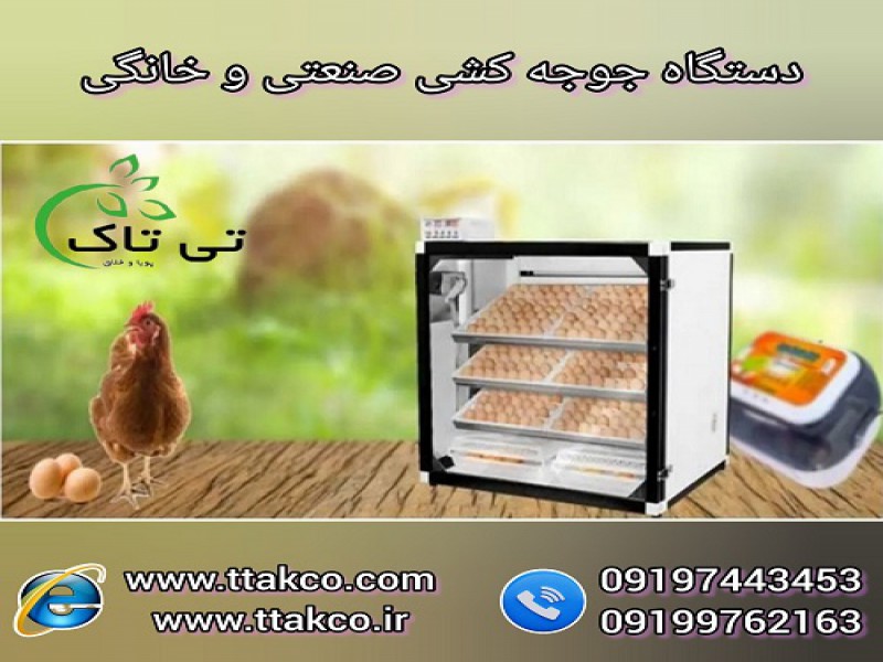 دستگاه جوجه کشی هوشمند خانگی و صنعتی تمام اتومات0