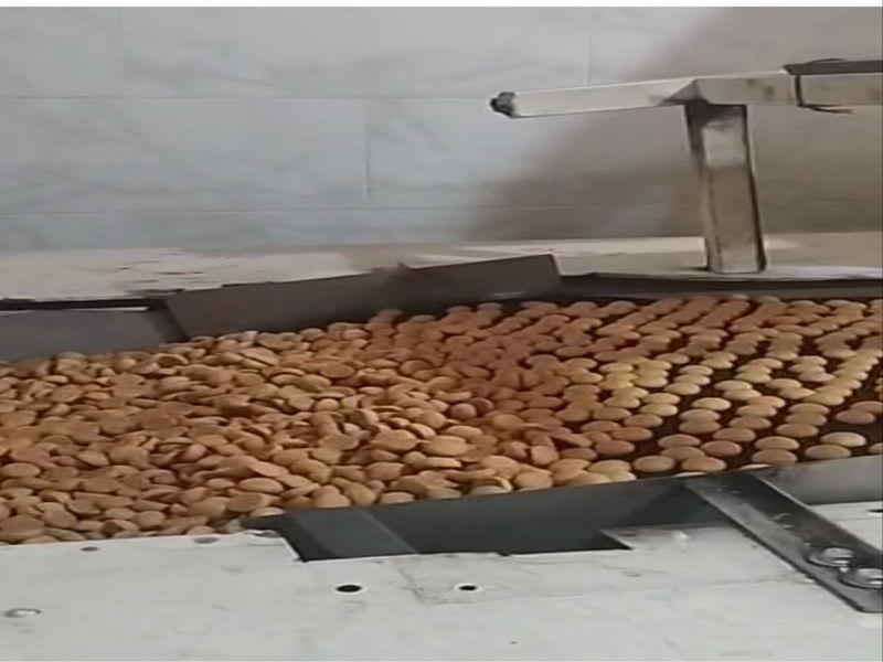 فروش کامل خط تولید بیسکویت کاملا سالم0