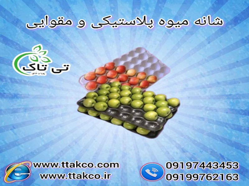 خرید و قیمت شانه میوه مقوایی و پلاستیکی0