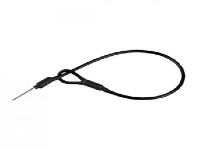 عرضه لنیارد در اصفهان0