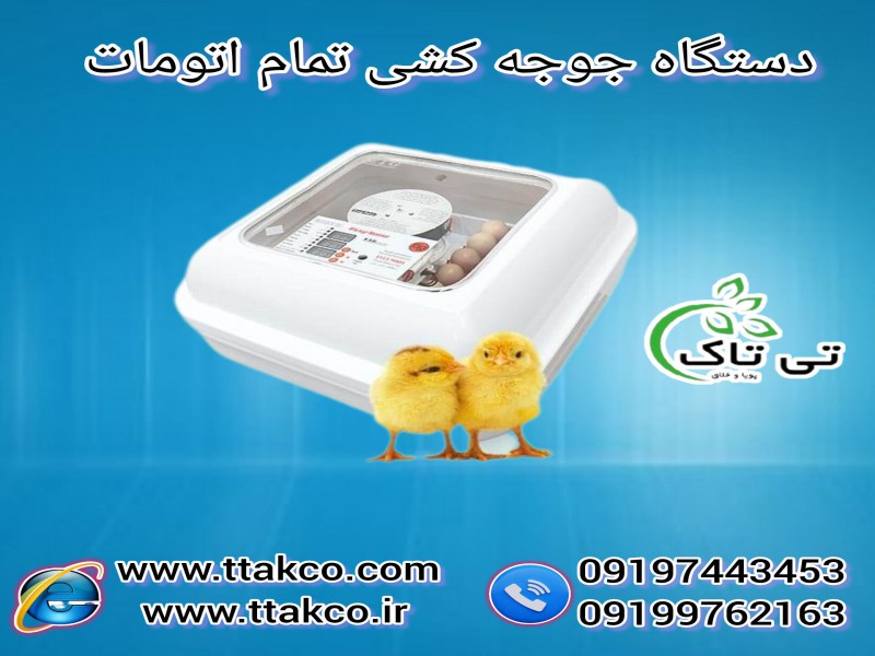 فروش  دستگاه جوجه کشی خانگی  هوشمند  تمام اتوماتیک  12 تایی0