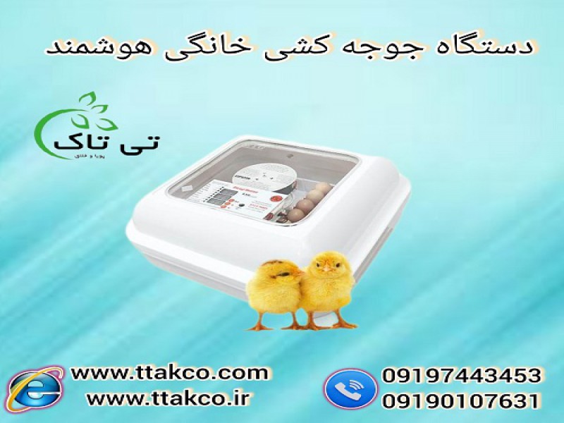 دستگاه جوجه کشی خانگی و کوچک هوشمند تمام اتومات0