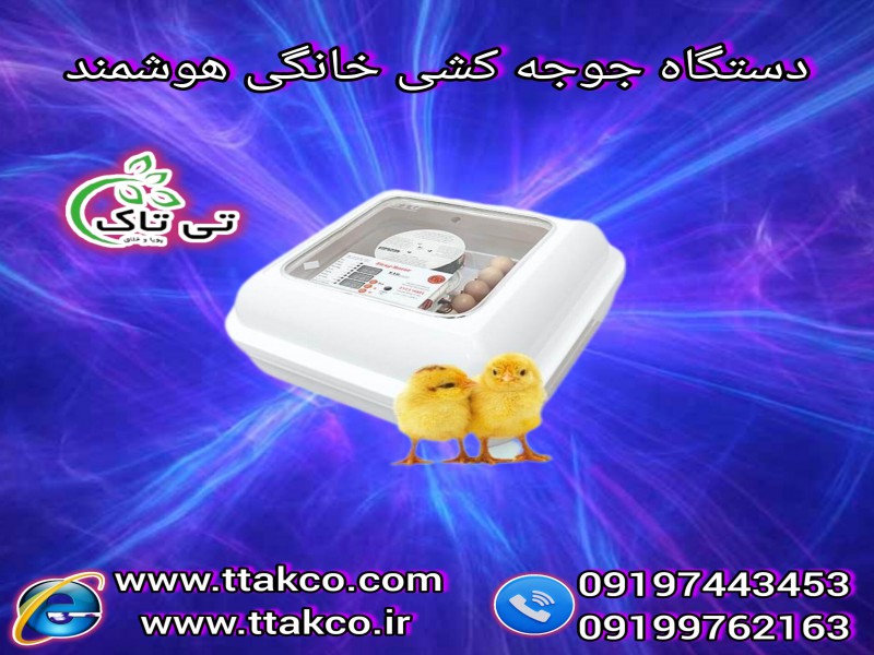 دستگاه جوجه کشی 12 تایی | انواع جوجه کشی خانگی و صنعتی هوشمند0
