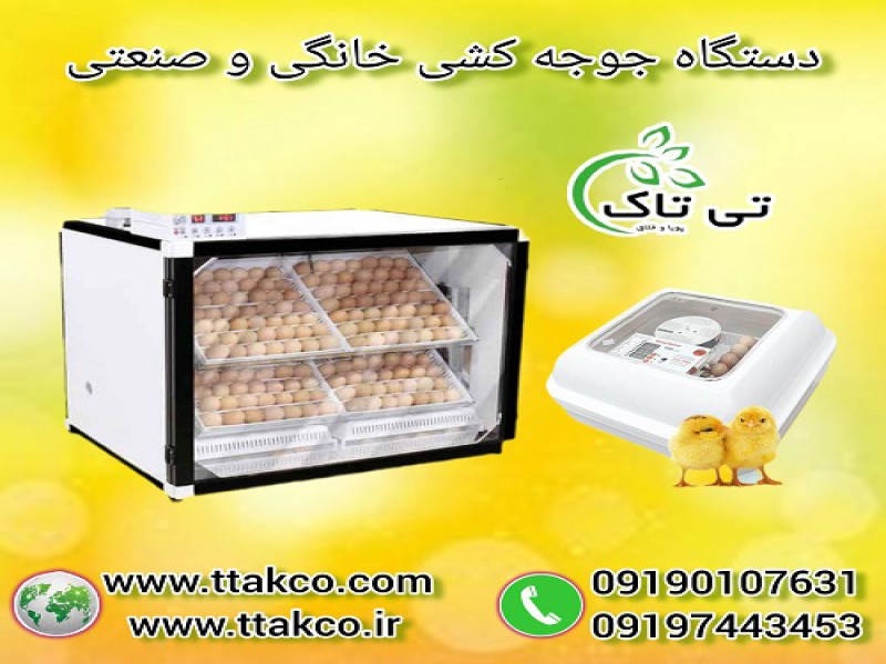 دستگاه جوجه کشی دیجیتال تمام اتومات صنعتی و خانگی0