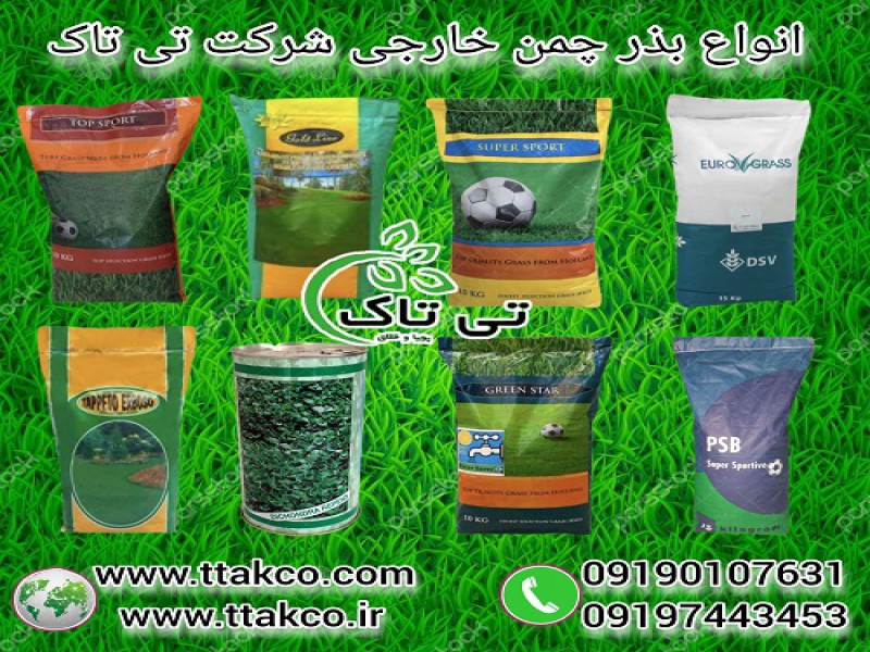 بذر چمن ، تخم چمن ، انواع بذر چمن0