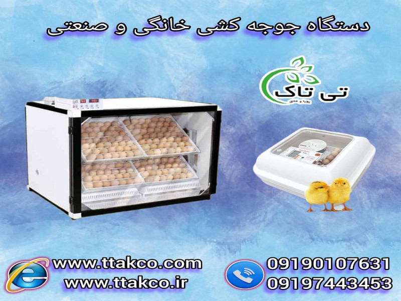 خرید و قیمت دستگاه جوجه کشی خانگی0