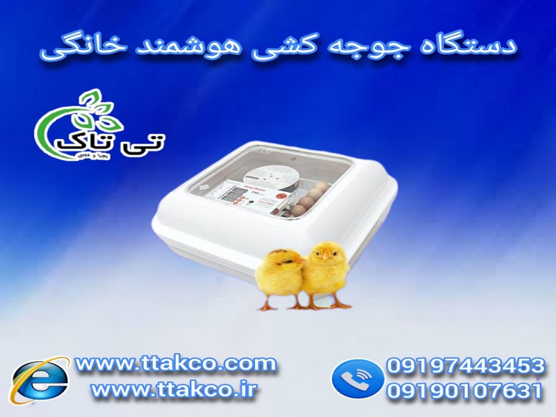 دستگاه جوجه کشی خانگی و کوچک اتوماتیک0