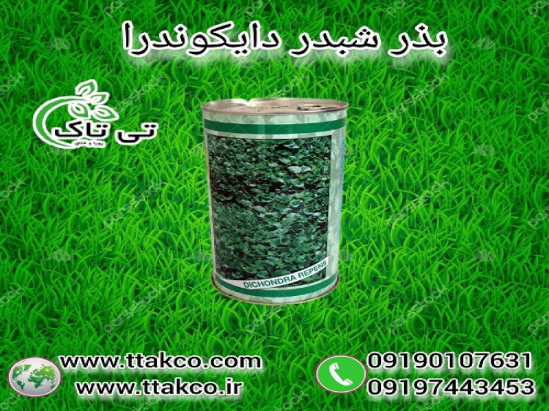 خرید و قیمت بذر شبدر زینتی دایکوندرا0