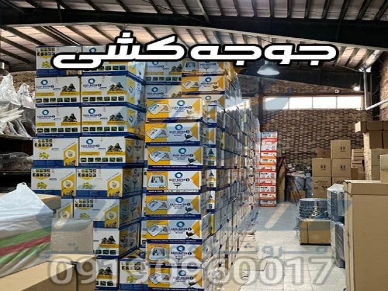 تولید و فروش دستگاه جوجه کشی تمام اتومات0