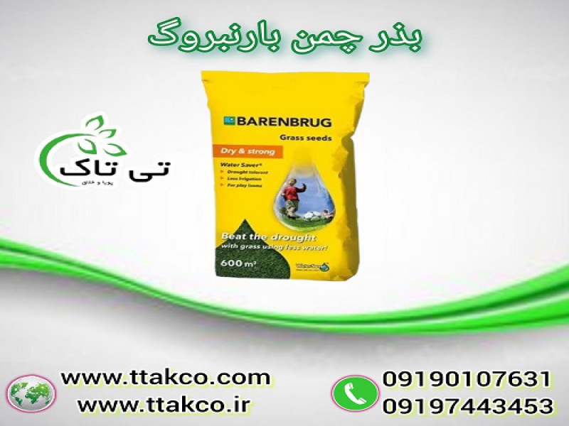 بذر چمن واترسیور بارنبروگ هلندی 5 تخم0