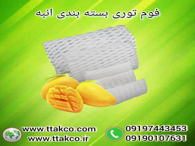 فوم توری انبه ، فوم انبه ، فوم میوه و ظروف0