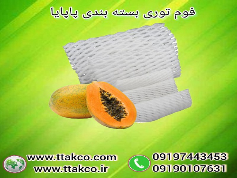 فوم توری پاپایا ، فوم پاپایا ، فوم میوه و ظروف0