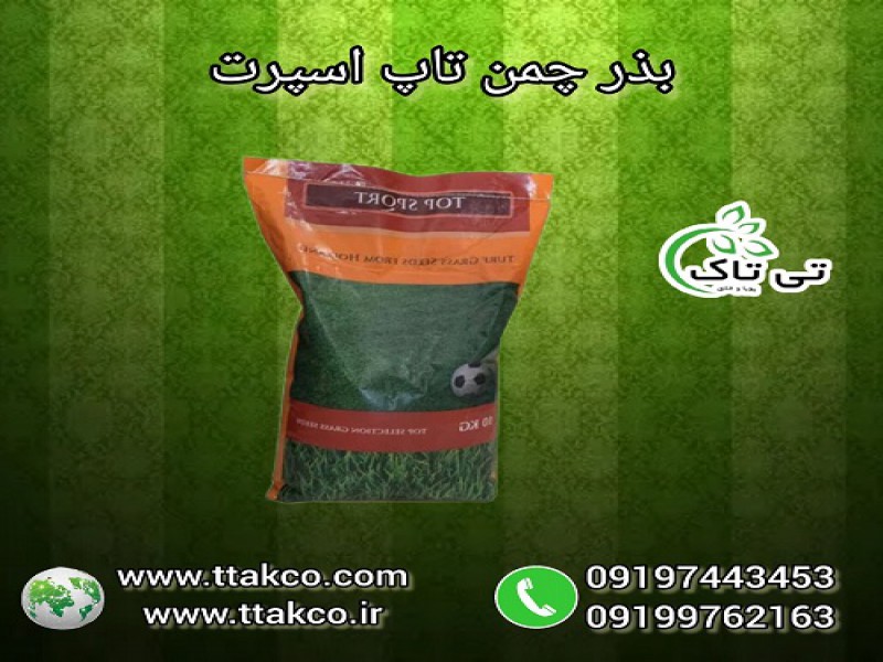بذر چمن تاپ اسپرت 4 تخم 10 کیلویی0