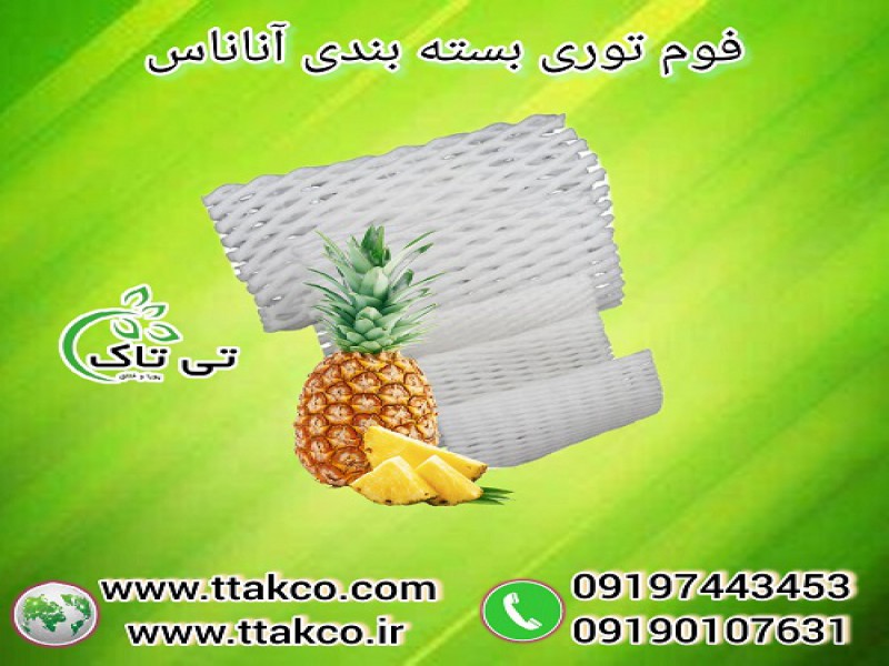 فوم توری آناناس ، فوم آناناس ، فوم میوه و ظروف0