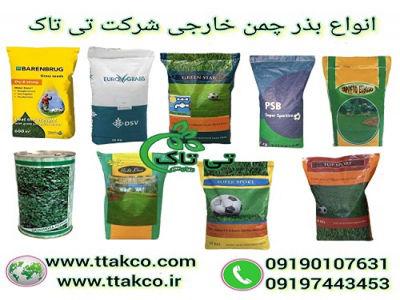 قیمت مناسب بذر چمن برای باغچه و حیاط،بذر چمن کوتاه0