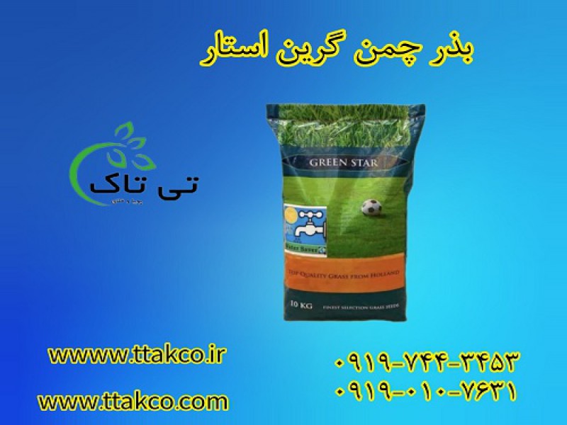 بذر چمن گرین استار | قیمت بذر چمن اسپرت گرین استار0