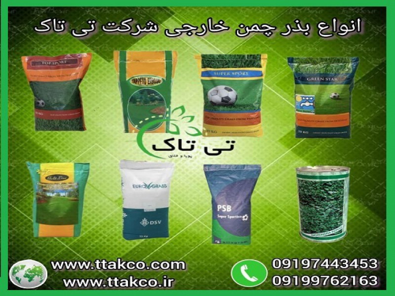 بذر چمن | خرید و قیمت انواع بذر چمن خارجی0