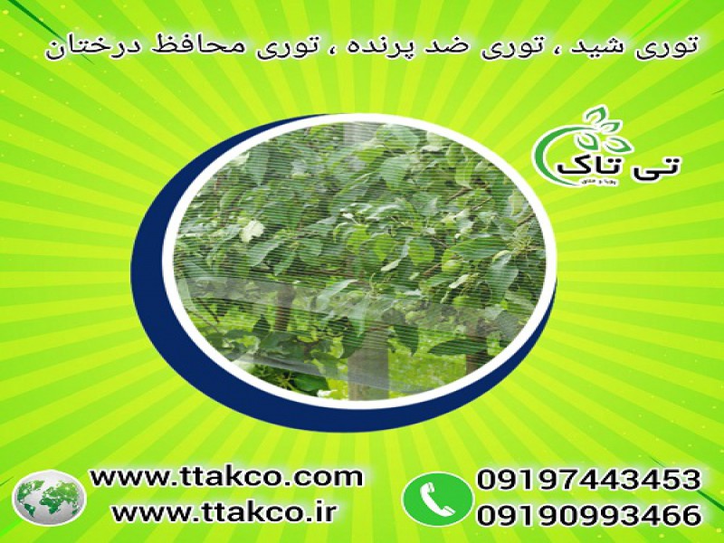 توری ضد پرنده مزارع انگور ، توری شید محافظ میوه0