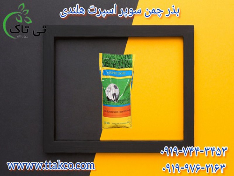فروش بذر چمن زمین فوتبال | تخم چمن اسپرت هلندی تازه0