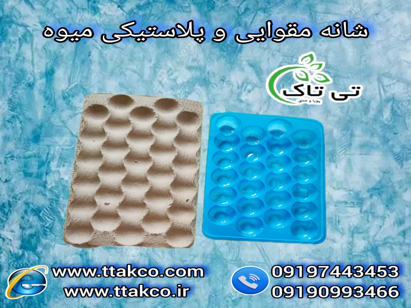 بسته بندی میوه های صادراتی با شانه میوه مقوایی و پلاستیکی0