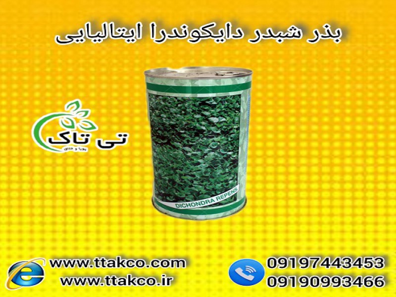 بذر شبدر دایکوندرا | بذر چمن دایکوندرا | بذر چمن0