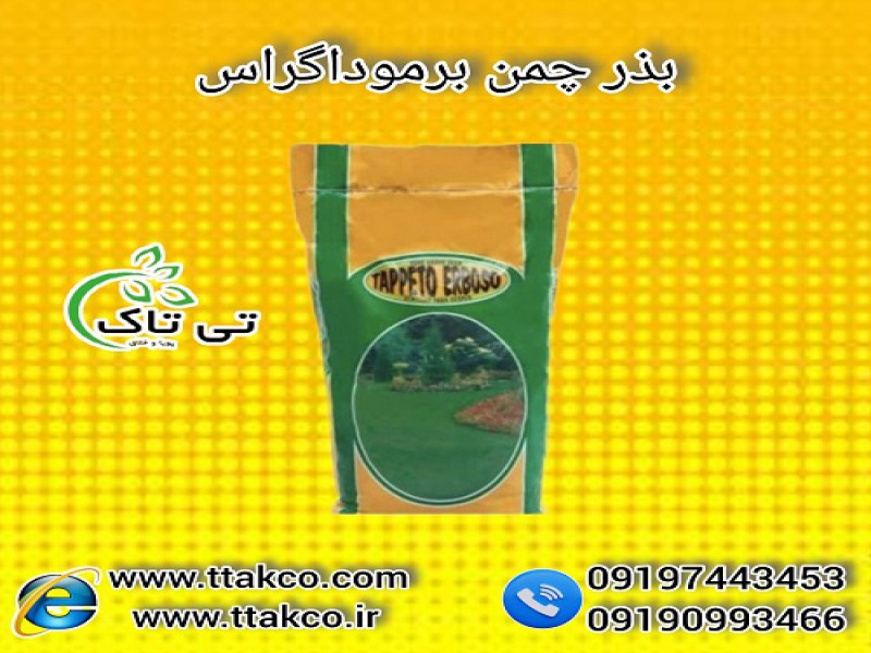 بذر چمن برموداگراس آفریقایی | بذر چمن مناطق گرمسیری 091974434530