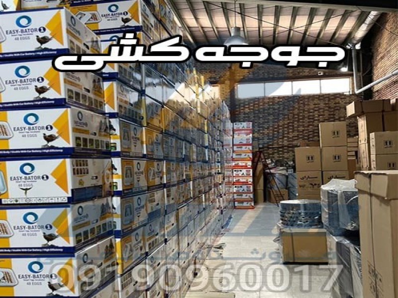 قیمت و خرید دستگاه جوجه کشی ایزی باتور 48 تایی0