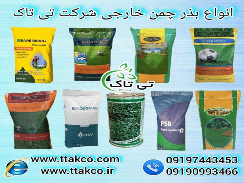 مشخصات قیمت و خرید انواع بذر چمن خارجی اورجینال0